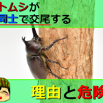 Thumbnail of post image 145